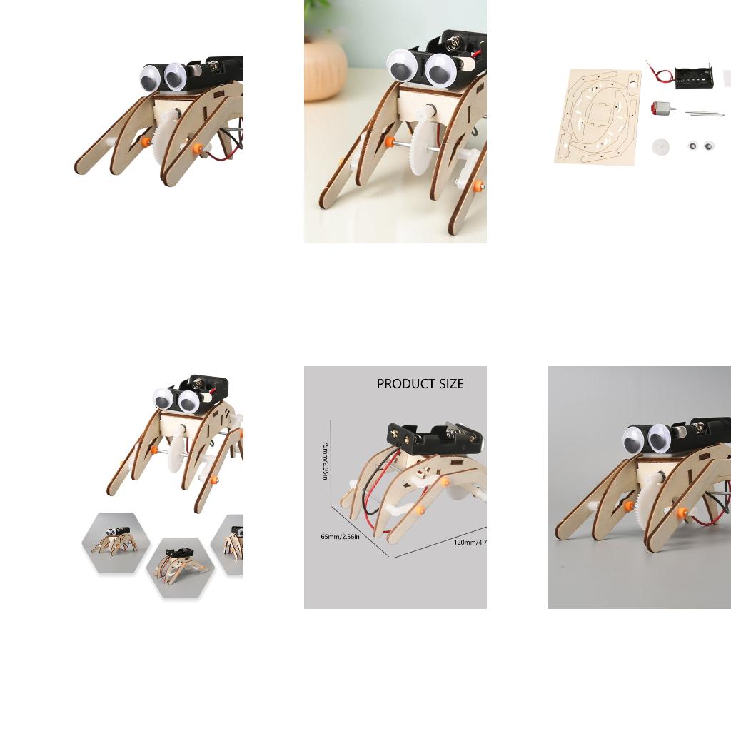 Science Project Physics - Mechanisches Insektenphysik-Experiment-Projekt, Lernspielzeug für Kinder, praktische