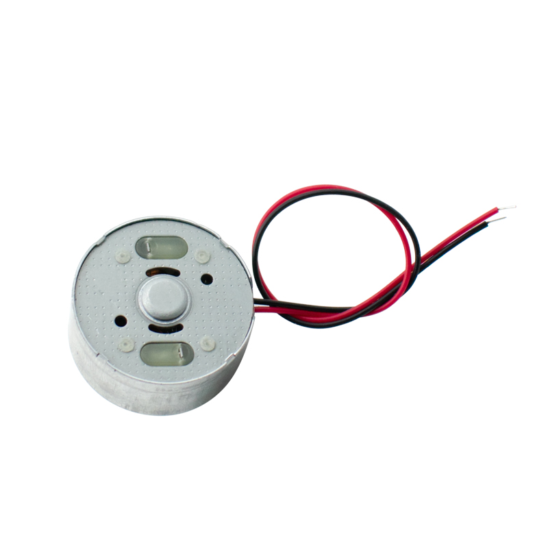   5 Stück R300C DC-Mikromotor, – Science And Hobby Bewertung und Preis