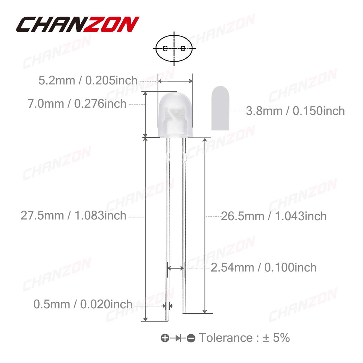 100 Stück 5 mm ovale LED-Diode – Science And Hobby Bewertung und Preis